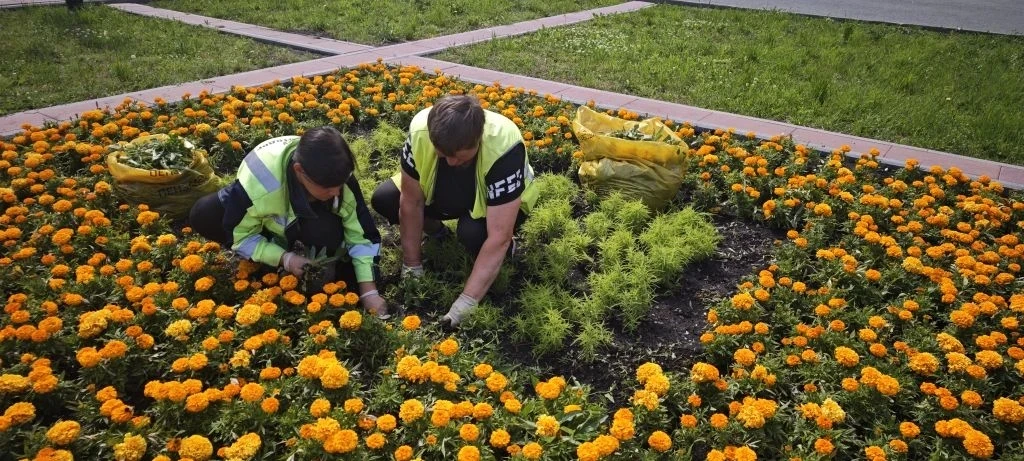 🌸  Красивый город начинается с заботы!

МБУ "Пензавтодор" продолжает заниматься посадкой цветов, со