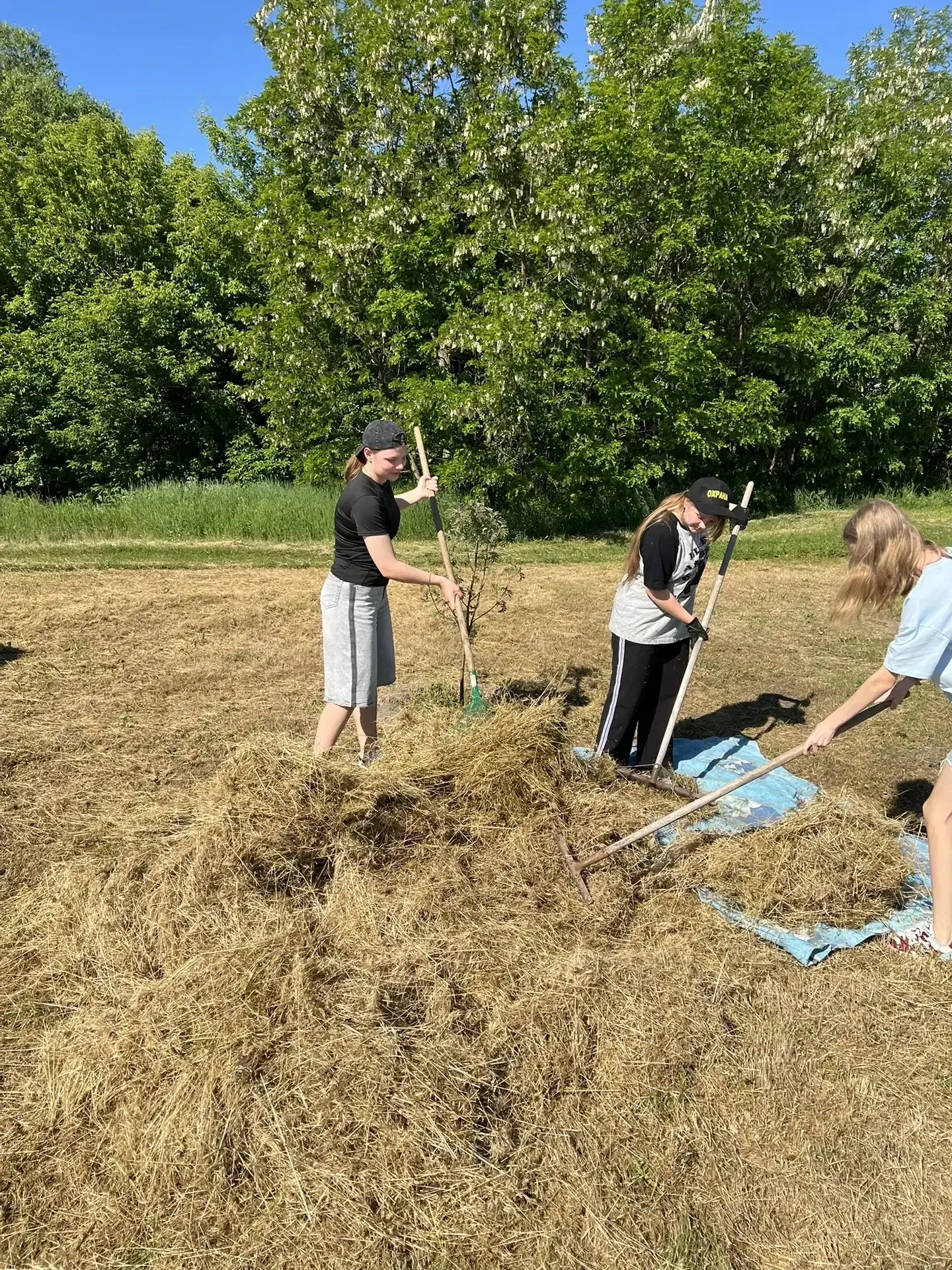 ☀️В период летних каникул старшеклассники  нашей школы трудоустроены и уже приступили к работе. Ребя