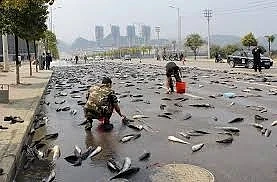 🐟🐠🐠В Гондурасе выпал «рыбный дождь»
Во время урагана в Гондурасе с неба начала падать рыба. Об эт