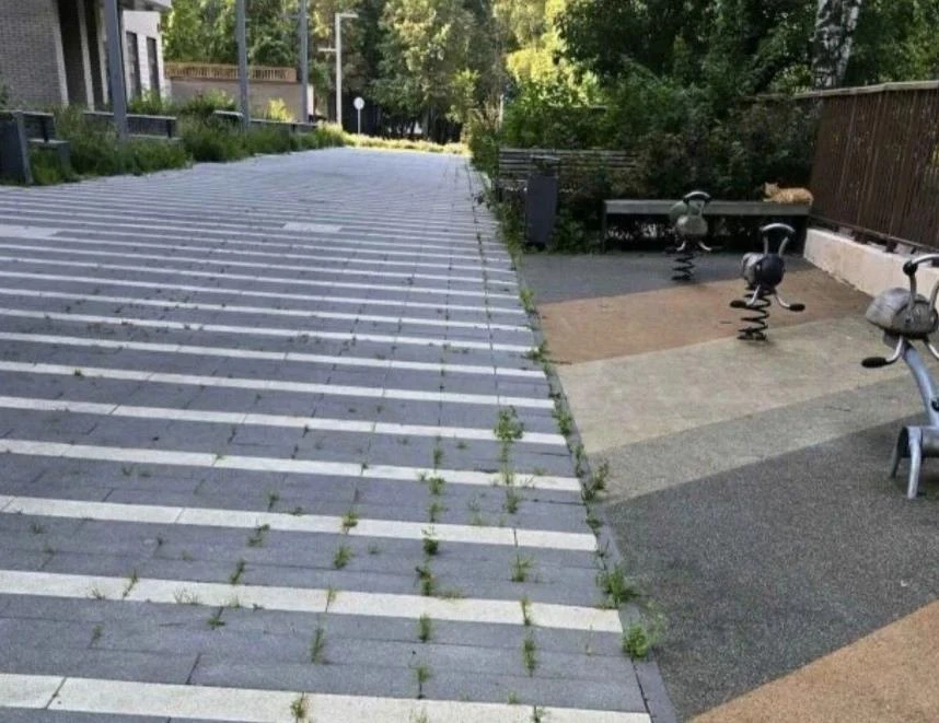 🌿 Жители столичного Царицыно бьют тревогу из-за плачевного состояния придомовой территории. Речь ид