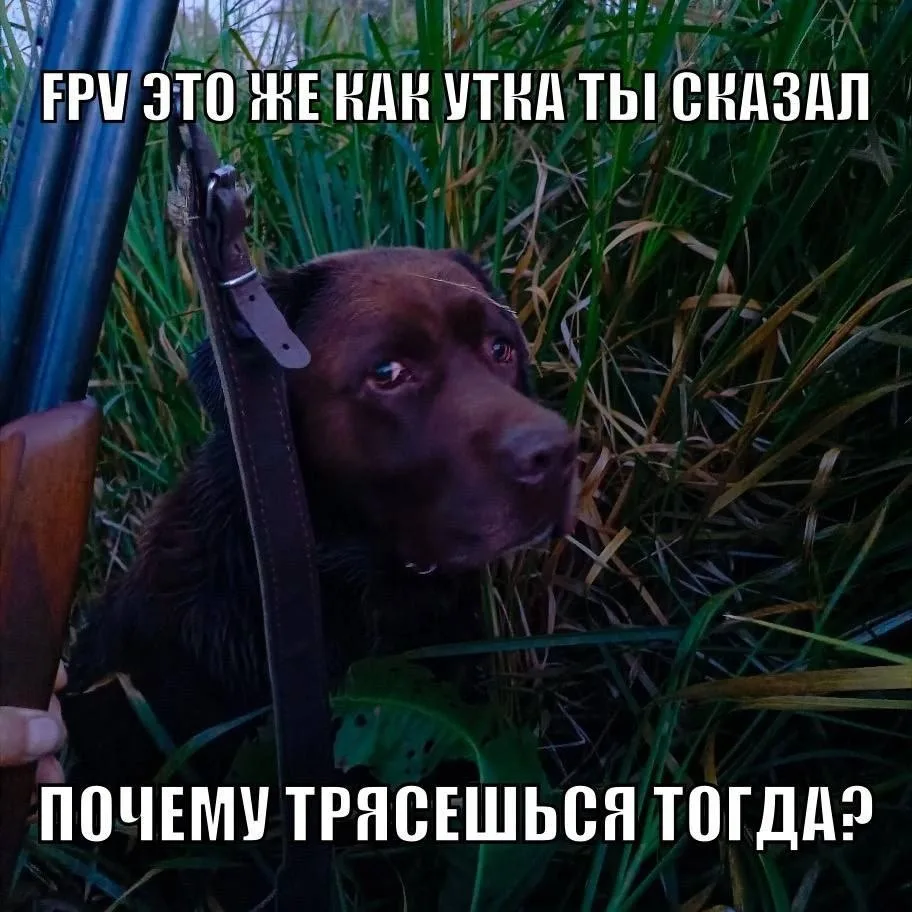 @gefestwar