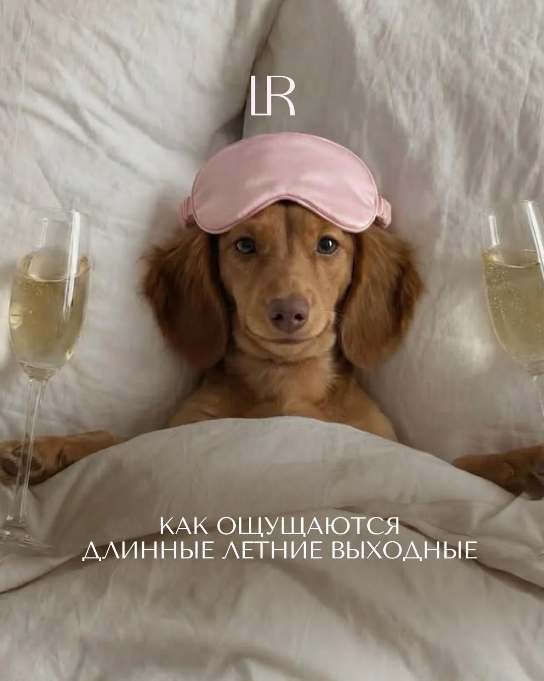 Самая приятная новость на сегодня: впереди три дня выходных!

Листайте карточки и отправляйте подруг