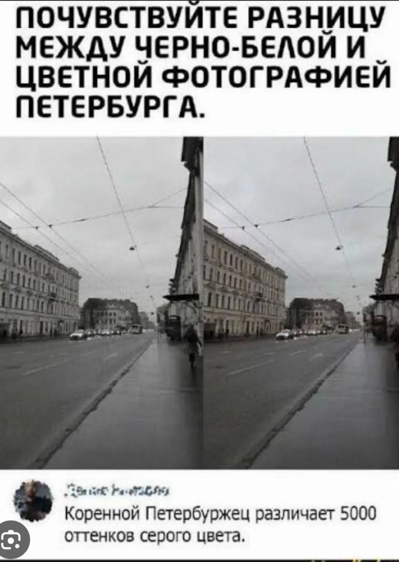 ❗️Петербуржцы съели весь «Атаракс» в городе — это один из самых популярных рецептурных ...