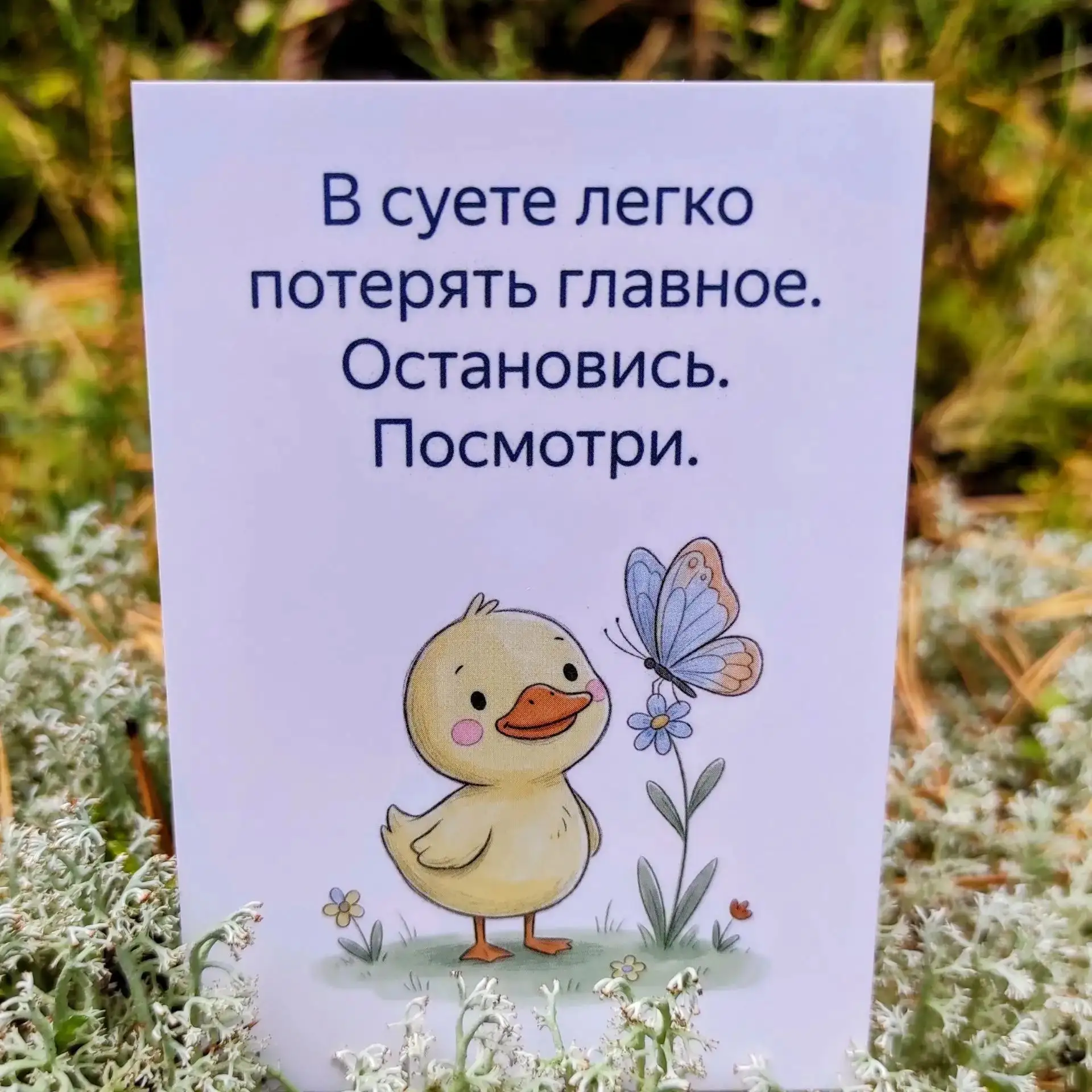 В суете легко потерять главное. 🦋