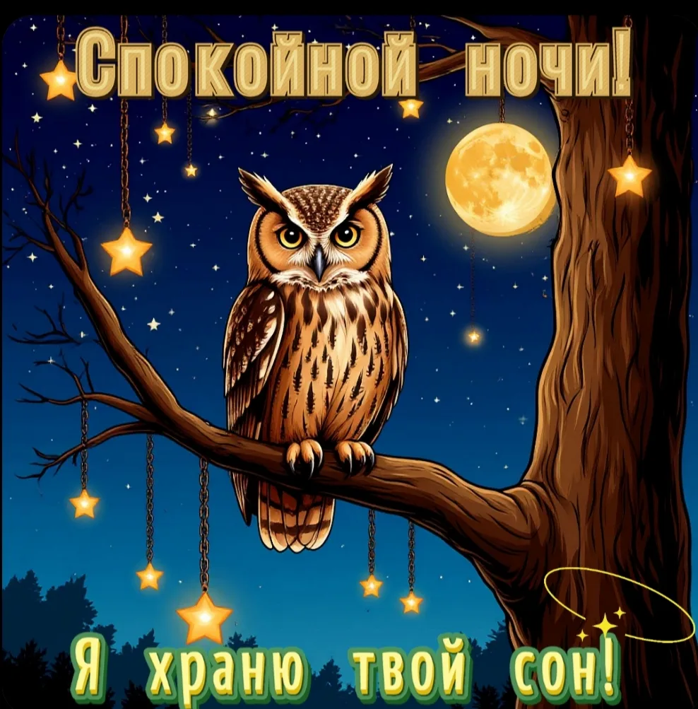 #спокойнойночи