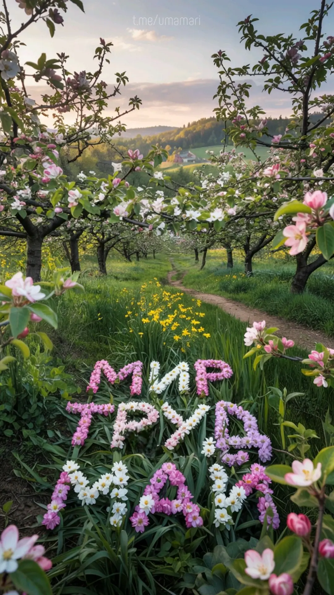 ПУСТЬ МАЙ ПОДАРИТ ТЕПЛО, ХОРОШЕЕ НАСТРОЕНИЕ, ПРИЯТНЫЕ ВСТРЕЧИ, НОВЫЕ ВОЗМОЖНОСТИ И ПОВО...