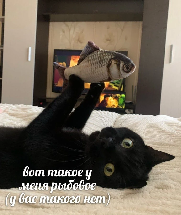 Ставь лайк! ❤️