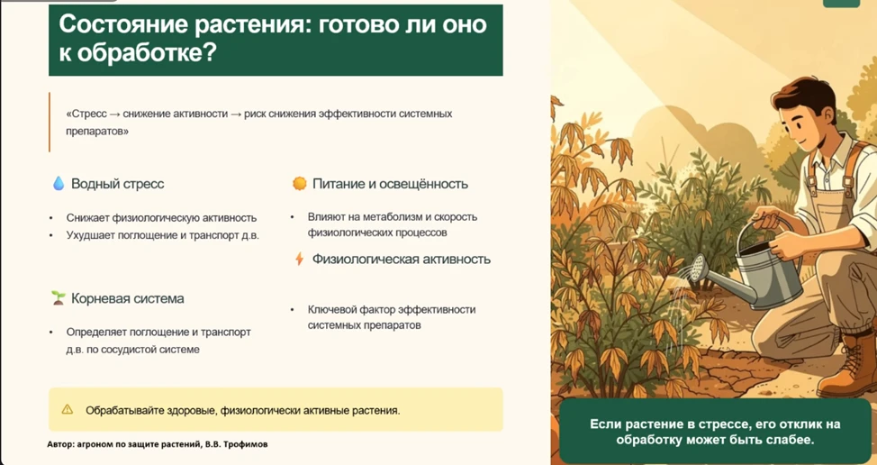 Опрыскивать или подождать? Главные инсайты о защите растений