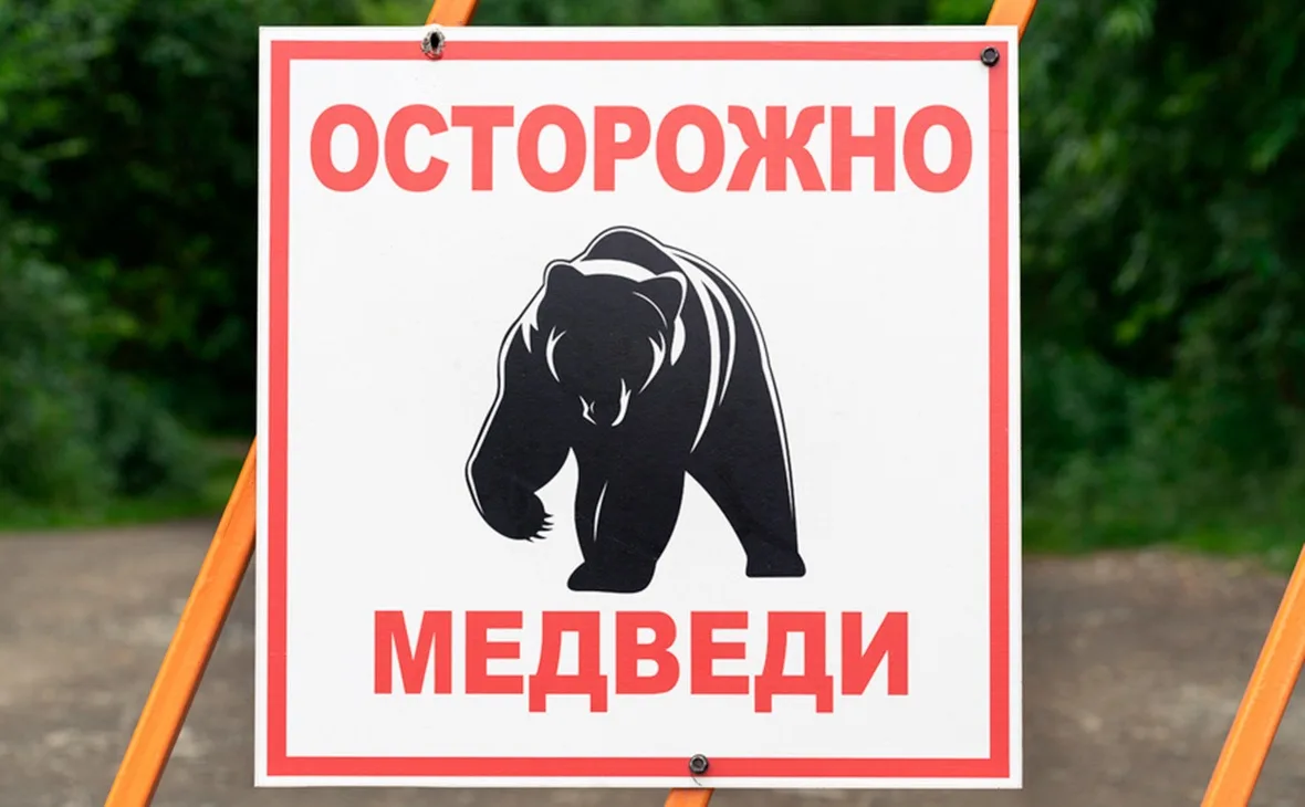 Уважаемые руководители образовательных организаций, родители и дети!