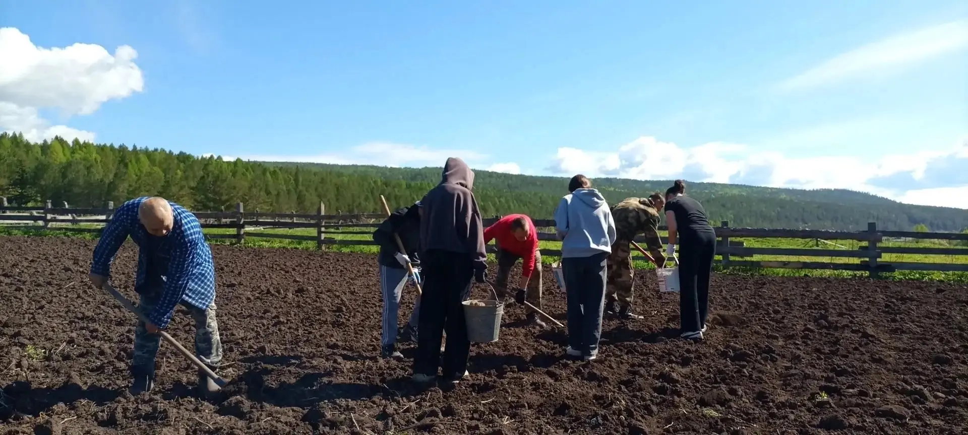 🚜 Битва за урожай 2026: хроники школьного огорода!

Друзья, свершилось! Историческое событие, котор