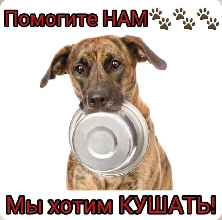 ДОРОГИЕ ДРУЗЬЯ❤️