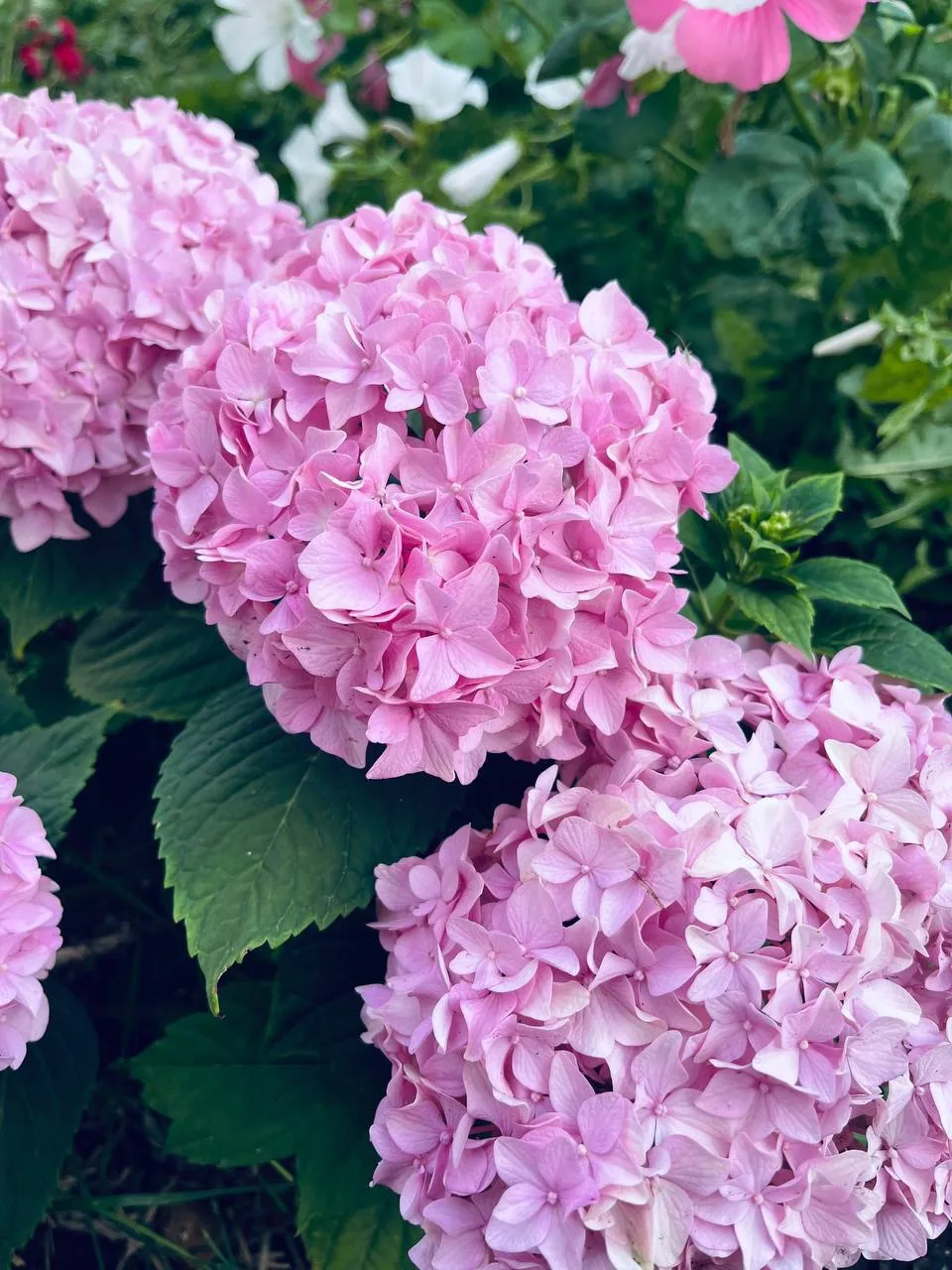 Доброе утро, Буинск!💕