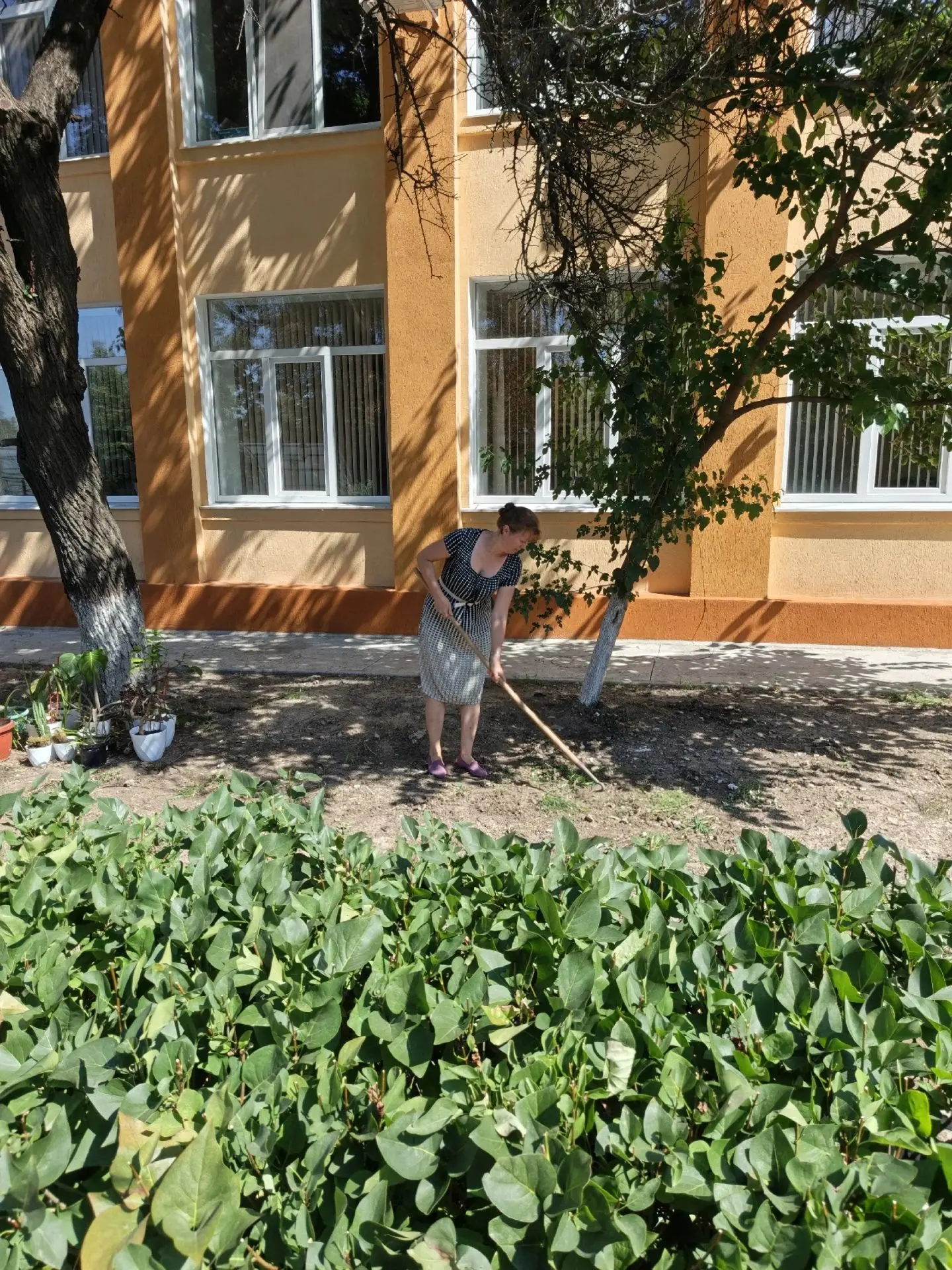 И вновь участие в акции "Чистый четверг" сотрудниками  Новосветской детской музыкальной...