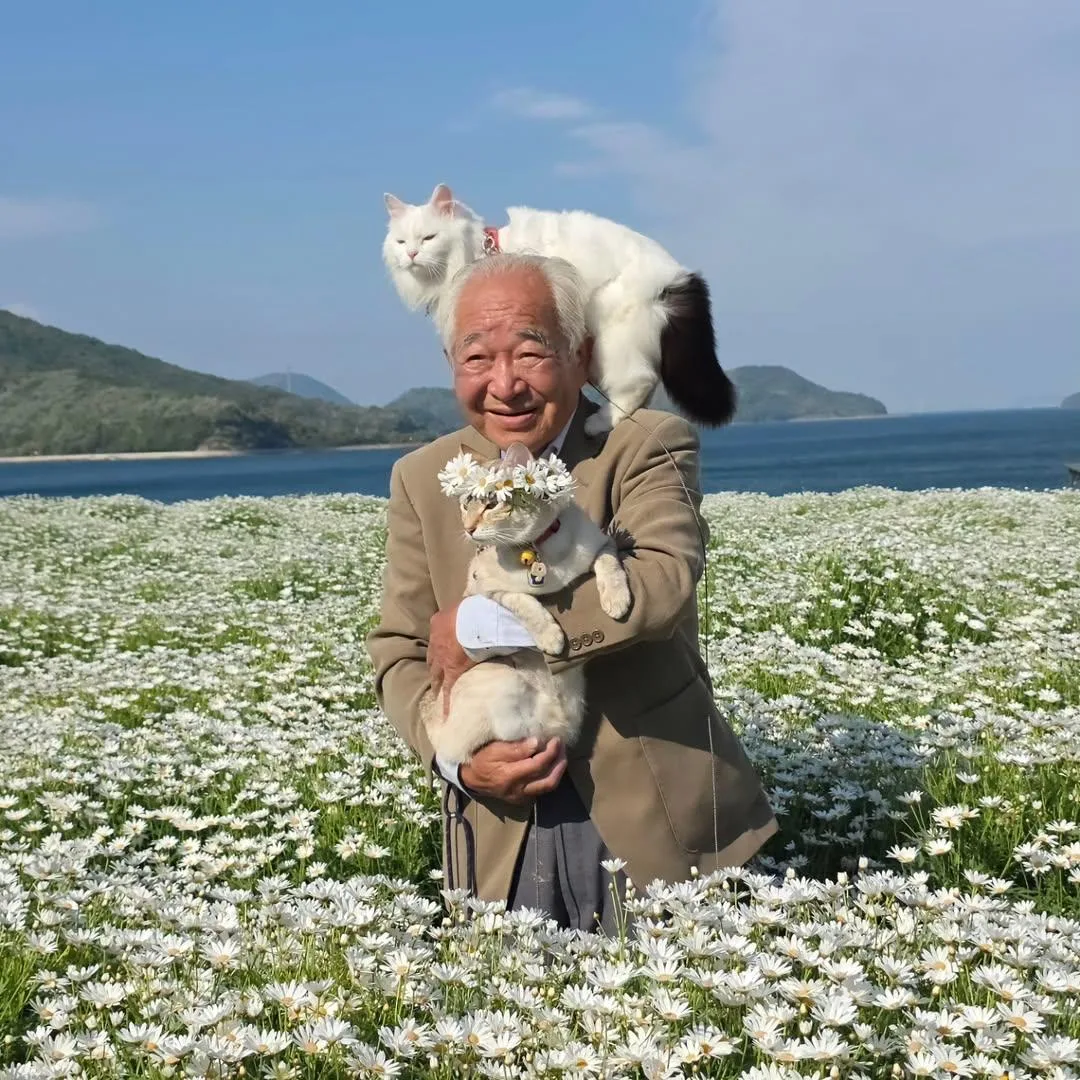 Этот японец уже 14 лет каждый день фотографирует своих котов в цветочных полях. Мужчина...