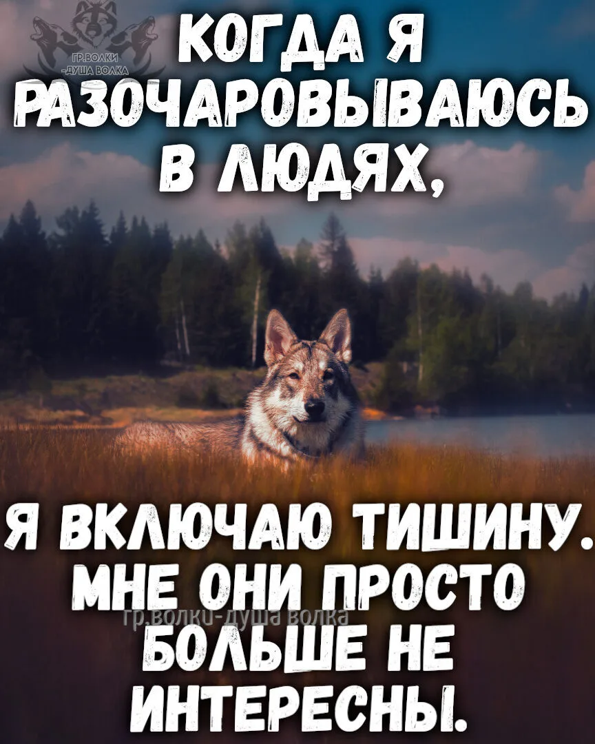 Обижаться за ненужность — пустяки.