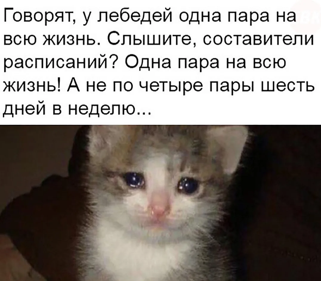 ____________________
Помощь со всеми видами работ

👉Написать нам в MAX
👉Написать нам в Telegram