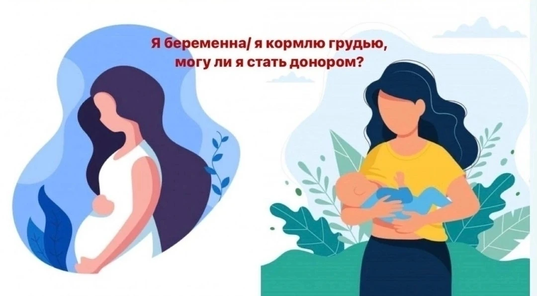 Я беременна. Можно ли мне сдать кровь?