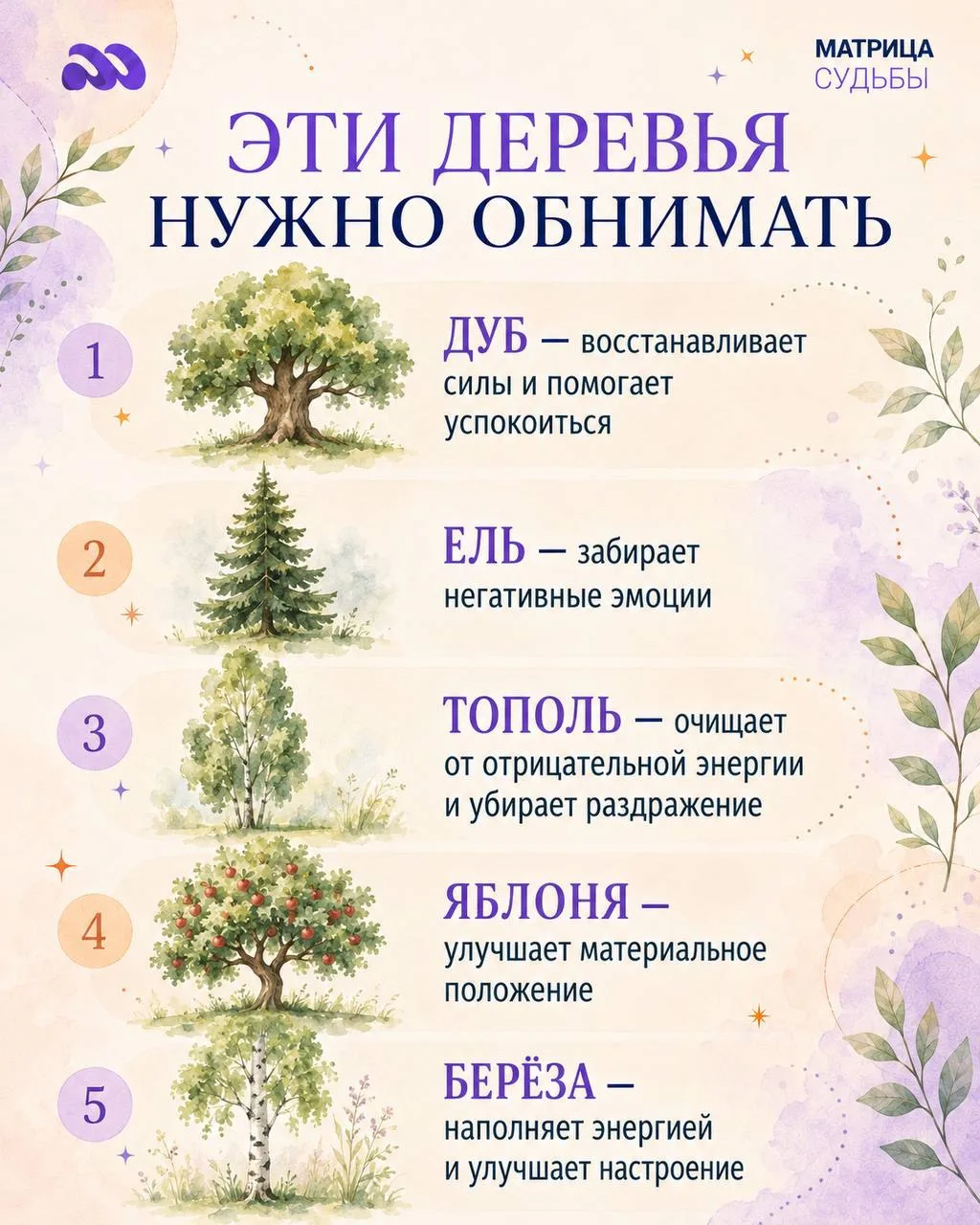 #полезныесоветы