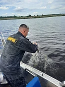 Всероссийский день без сетей в Ивановской области