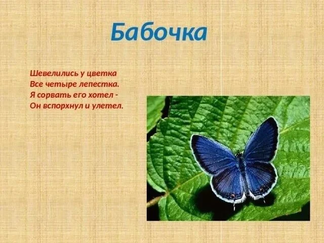 Пластилинография "Бабочка" с использованием бросового материала в группе "Улыбка".
Воспитатели Фефил