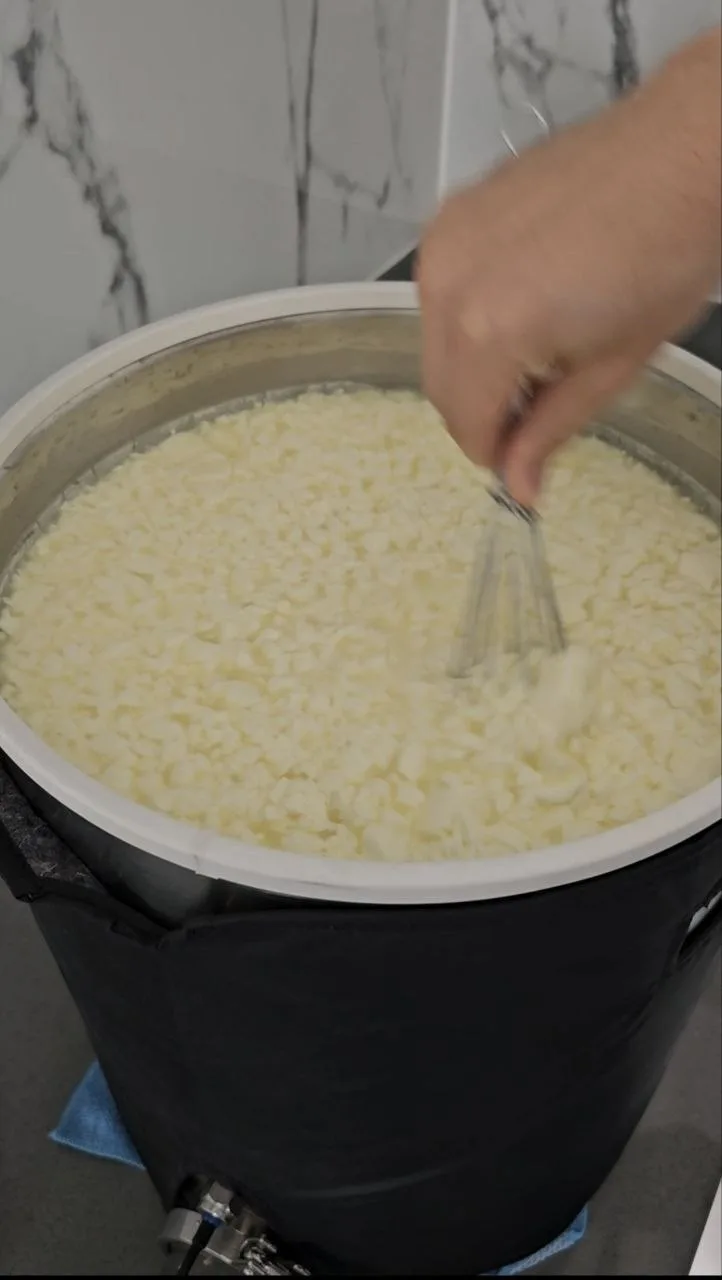 Вот так ставят зерно на Пармезан  У меня большая кастрюля-сыроварня, в ней я делаю сырную массу, зер