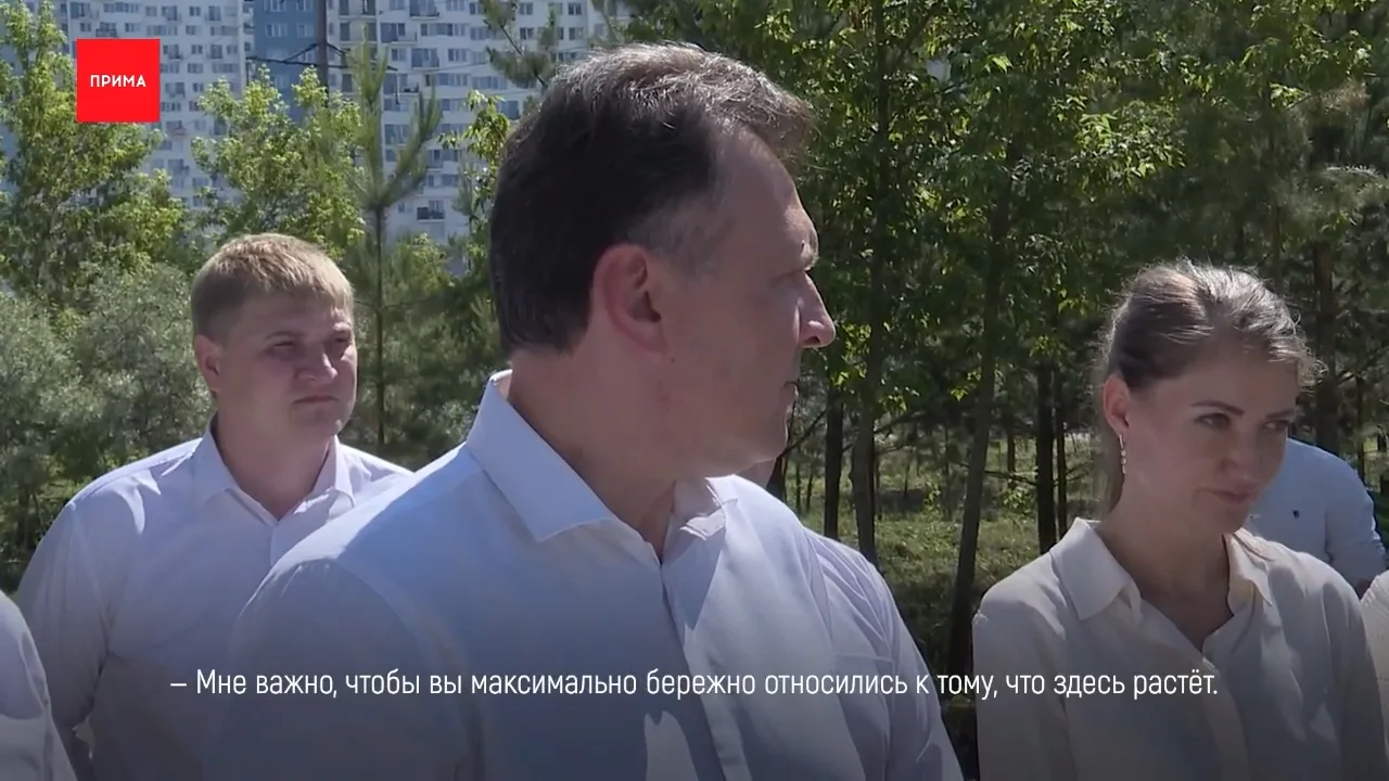 Инспекция главы города