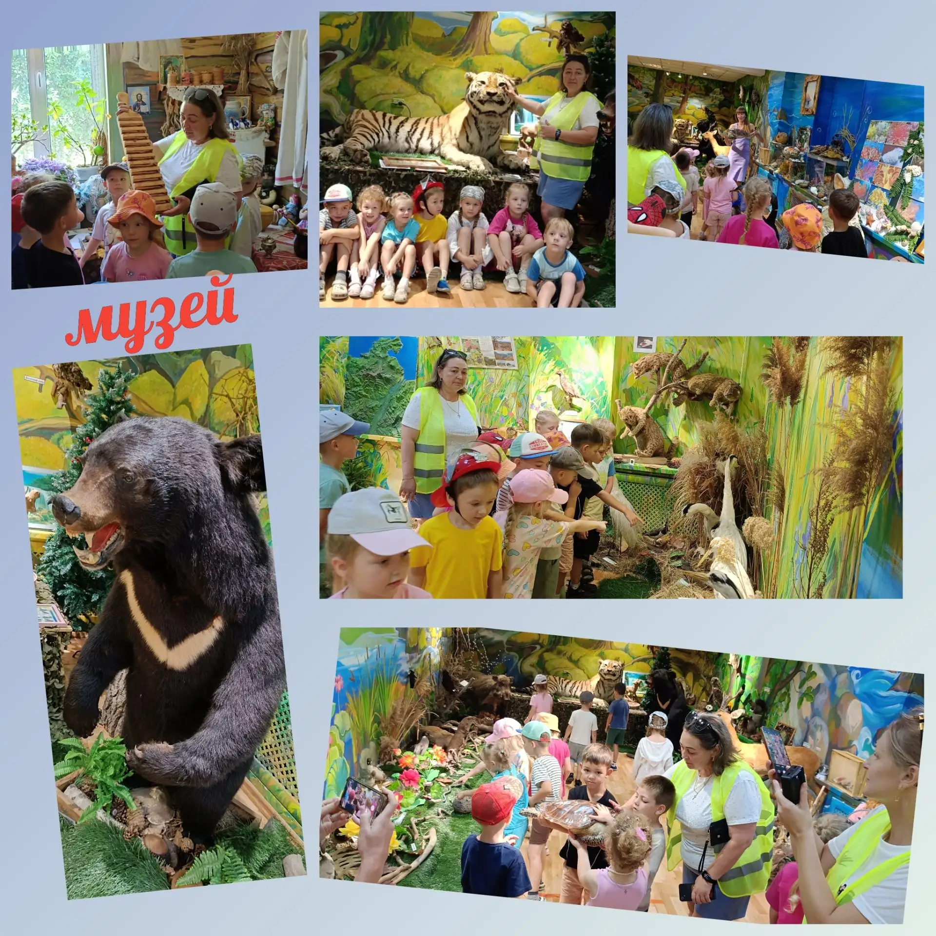 Фото
