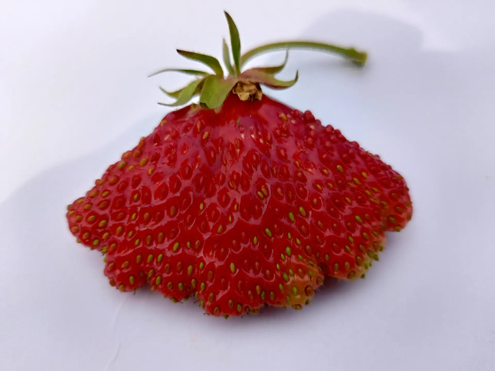 🍒 Ягодный сезон в разгаре!

Лето радует урожаем — пора делиться радостью! 🎉

Запускаем фотофлешмоб