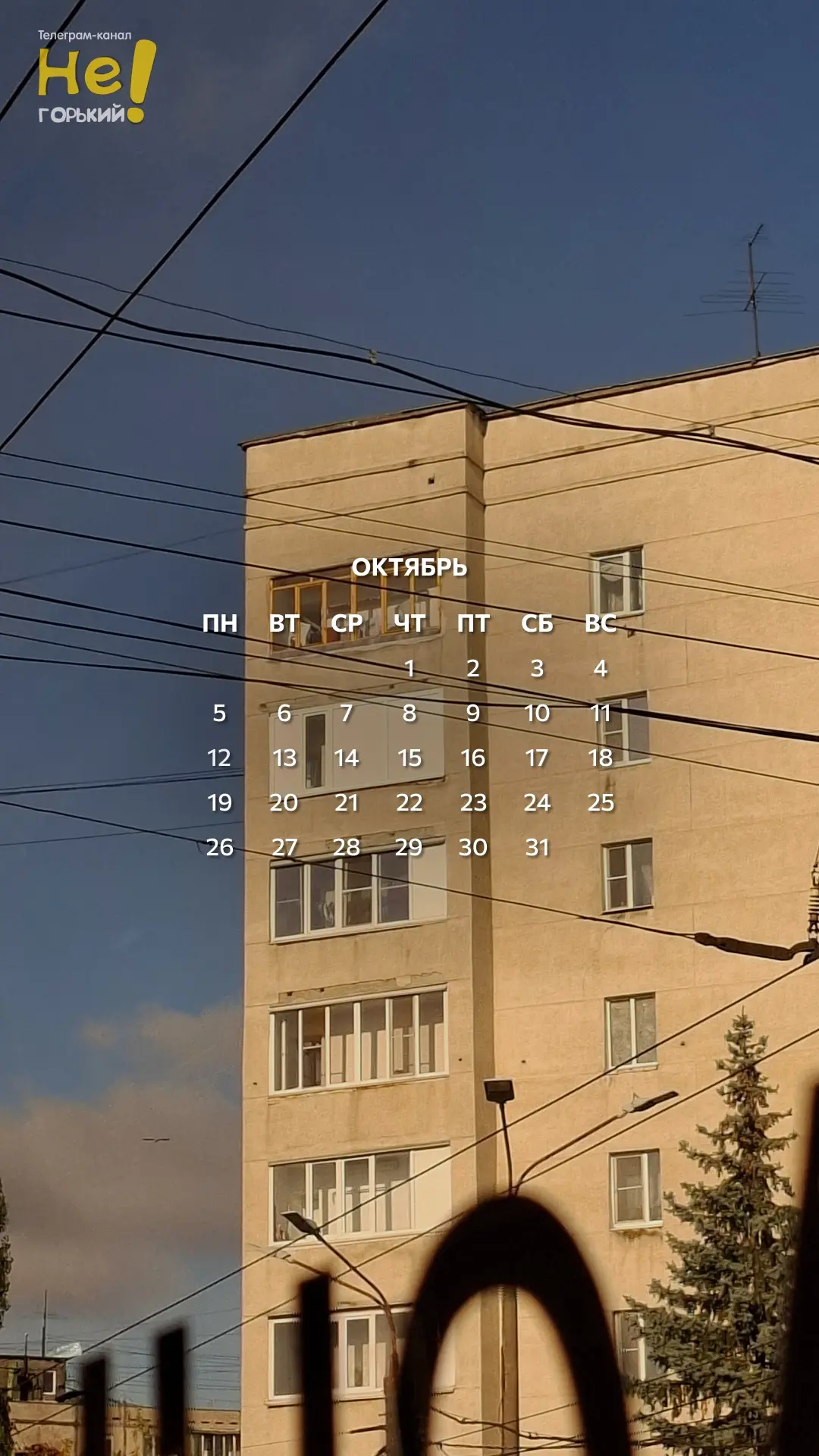 Осень продолжается 🗓