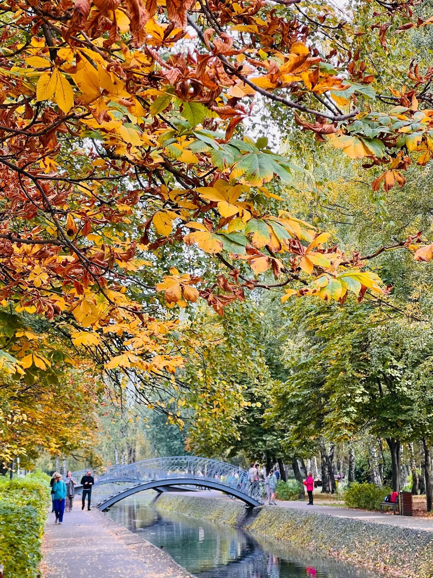 🎨 Осень рисует яркими красками в парке Урицкого