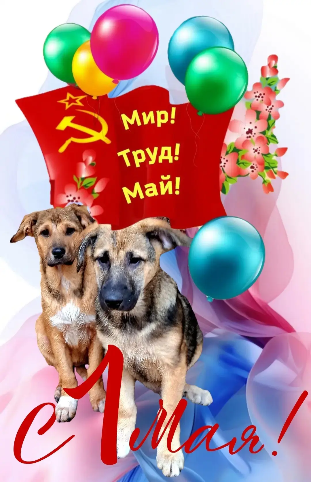 Друзья, с Первомаем вас!