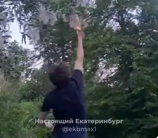 Группа подростков жгут пух, подвергая опасности наш парк (рядом с жировым комбинатом), ругается подп