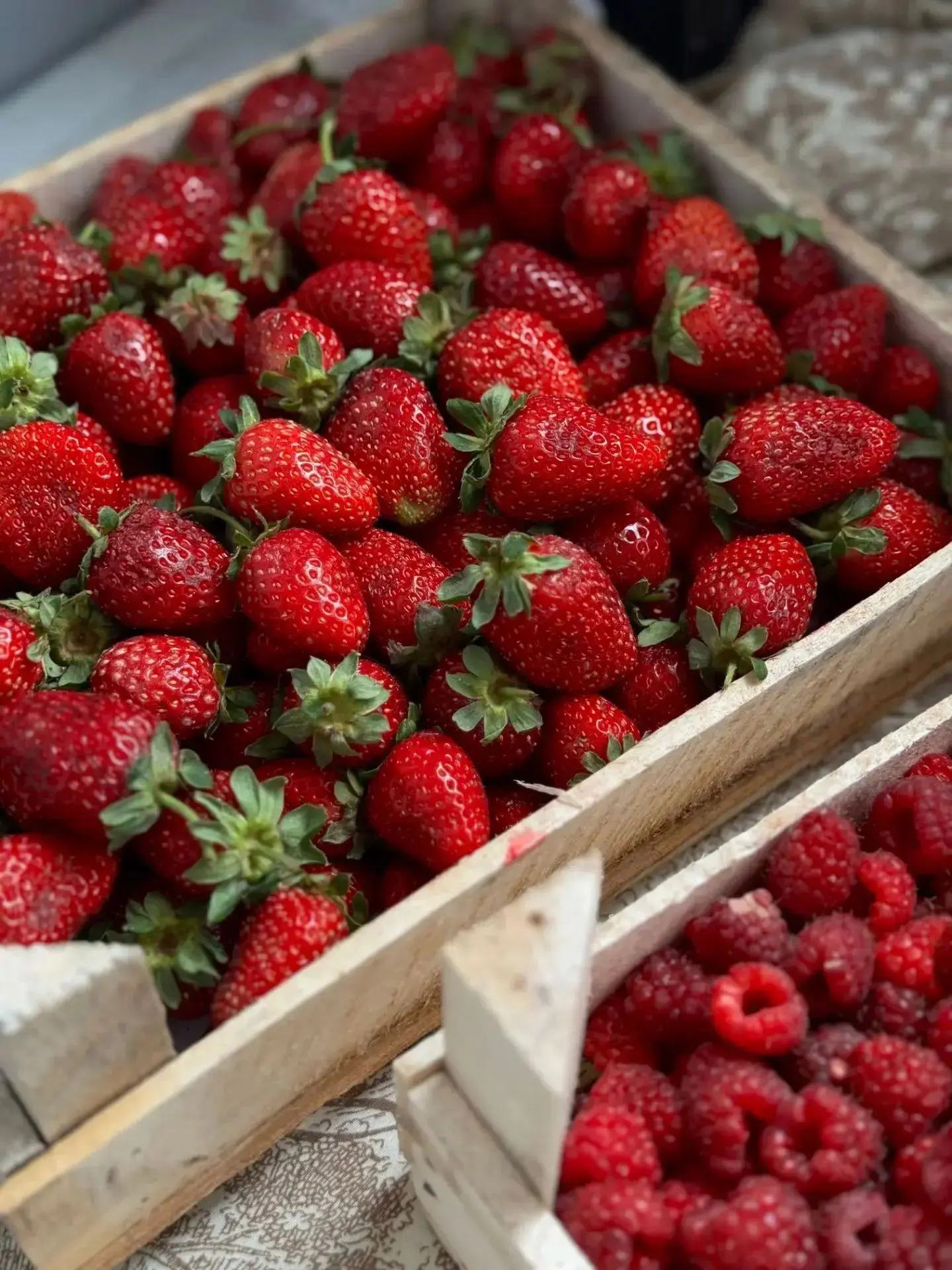 🍓На связи Берри Фиш 🍓