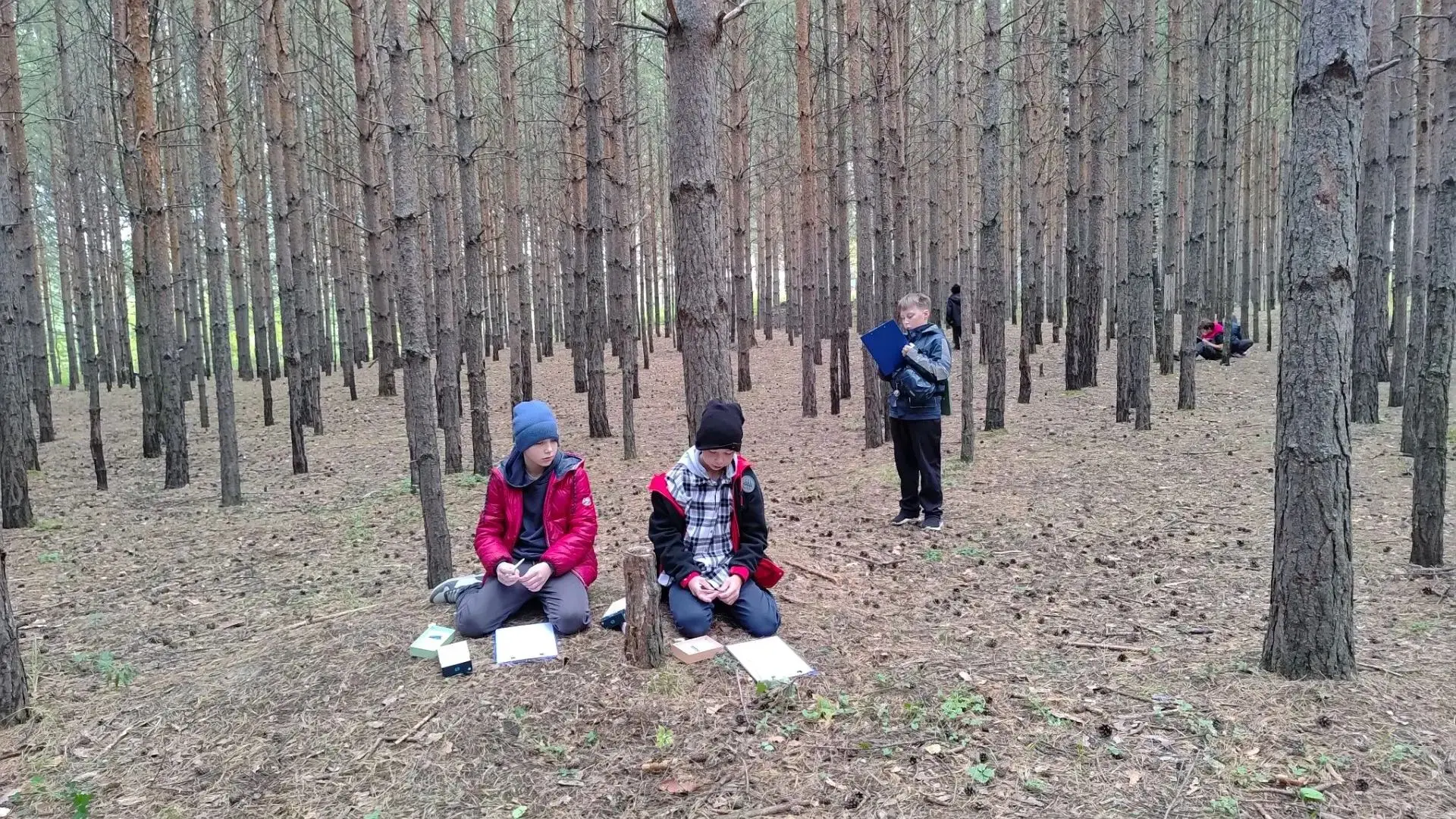 🌿 Ботаника без парт: 5 «гамма» на природе!🌿