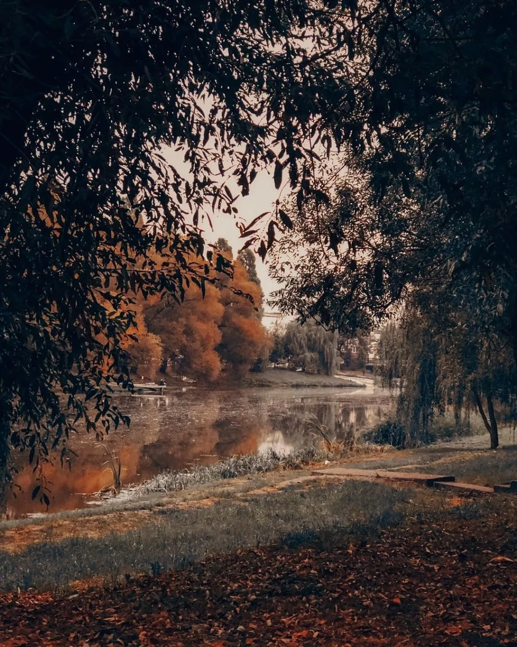 Осень в Белгороде 🍁