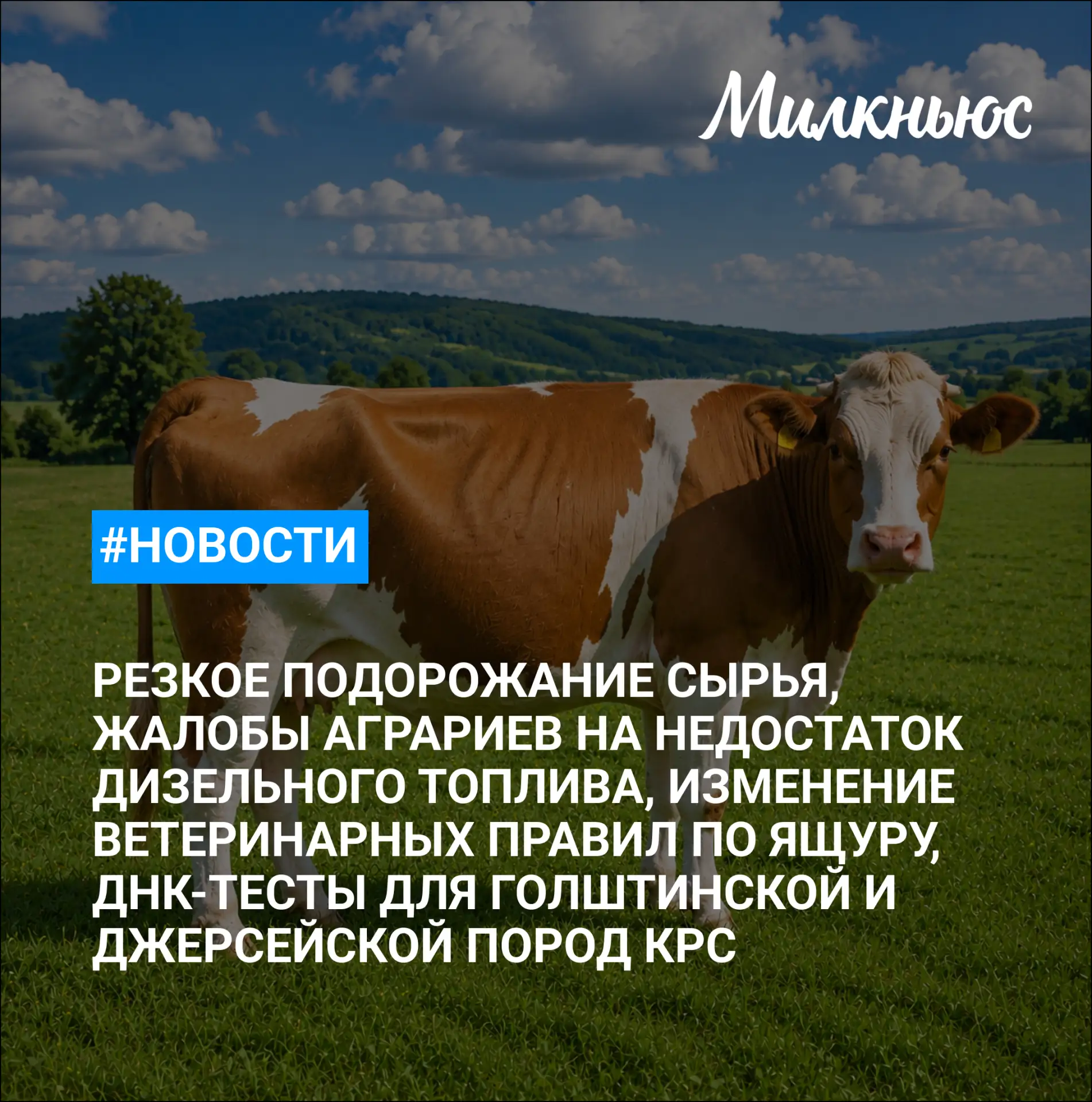 🐮 Производители продовольствия отмечают резкое подорожание сырья из пальмового масла