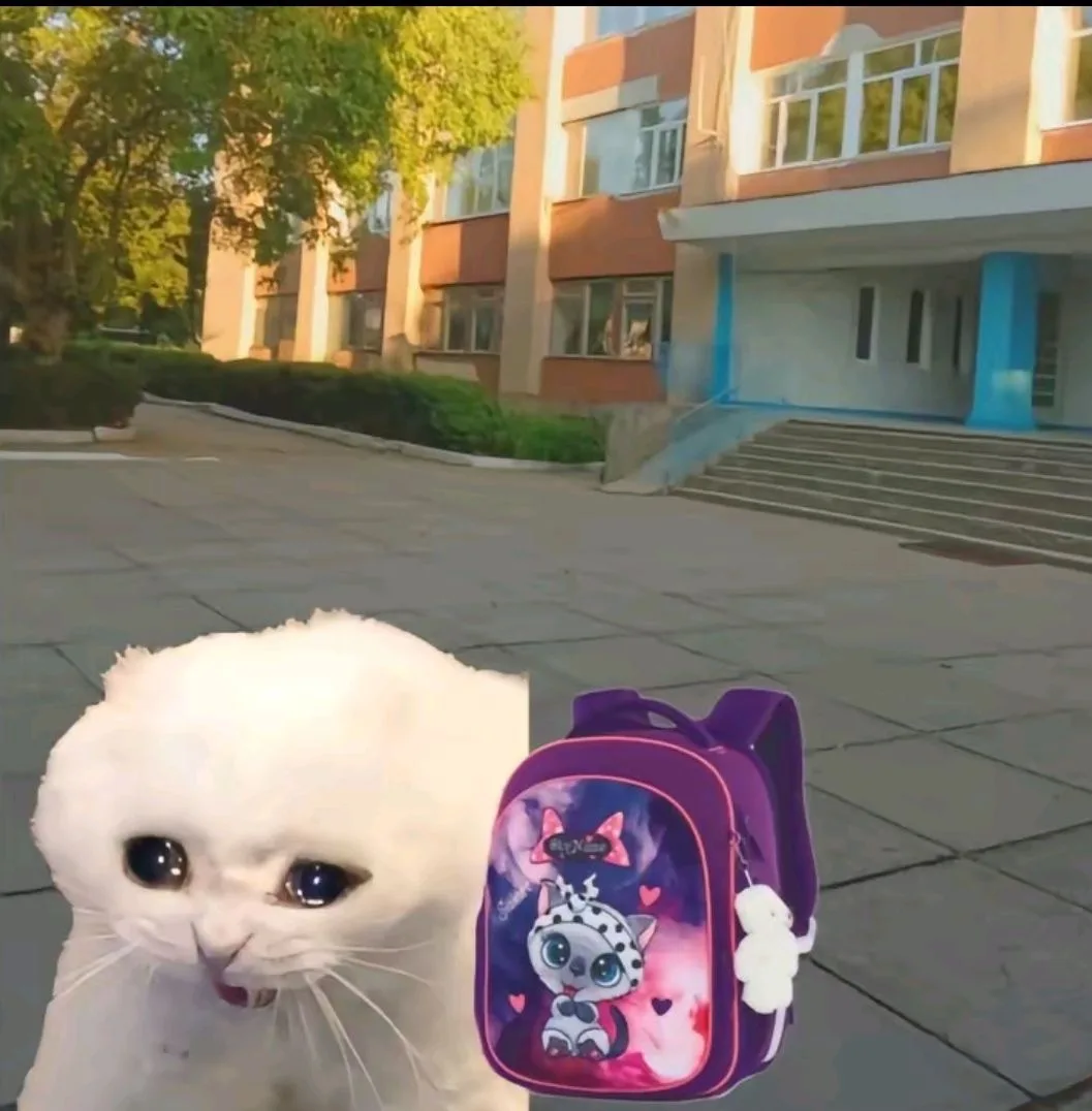 ☀️ Подготовка к школе