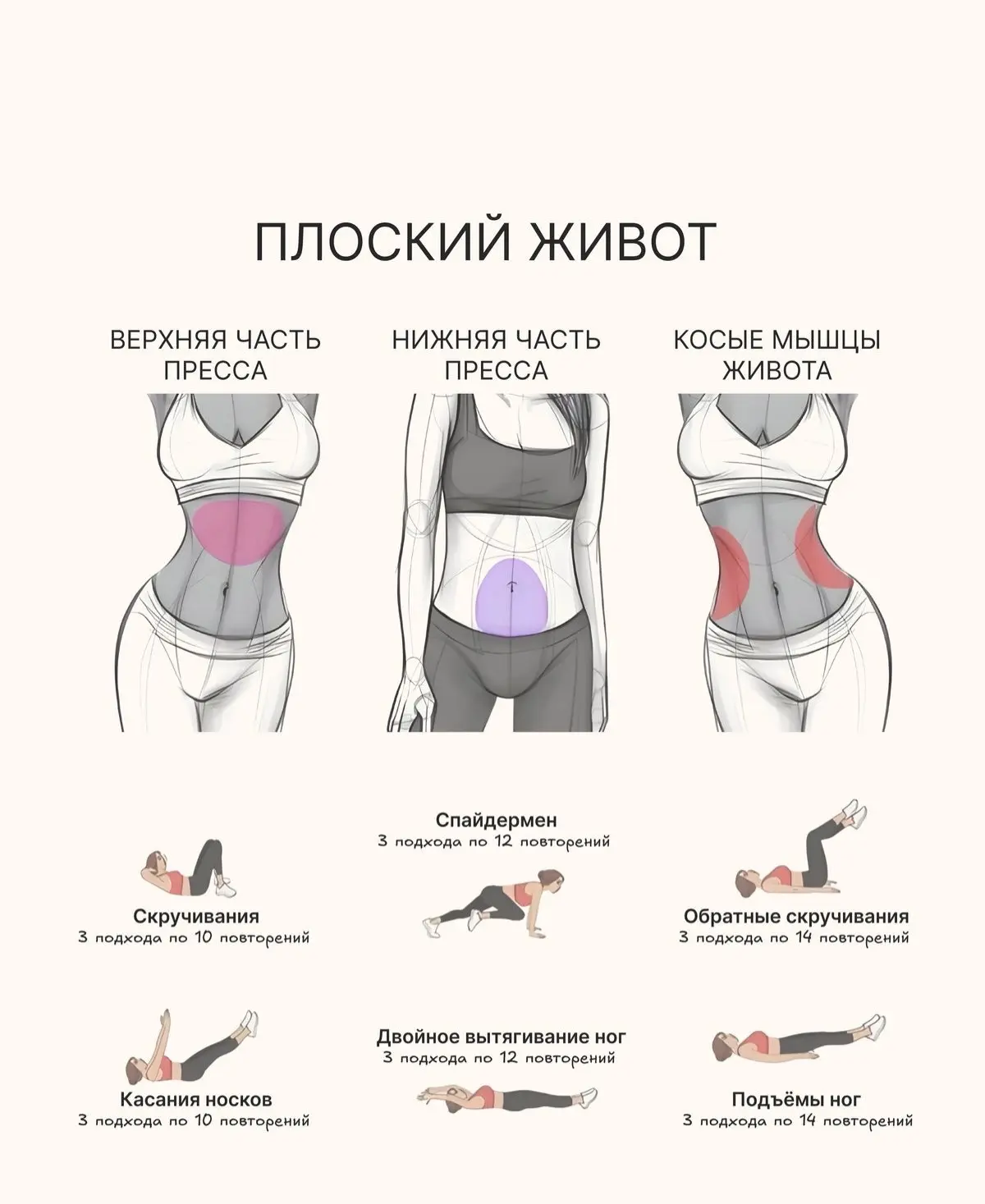 тренировка сегодня на кор 
приступаем!