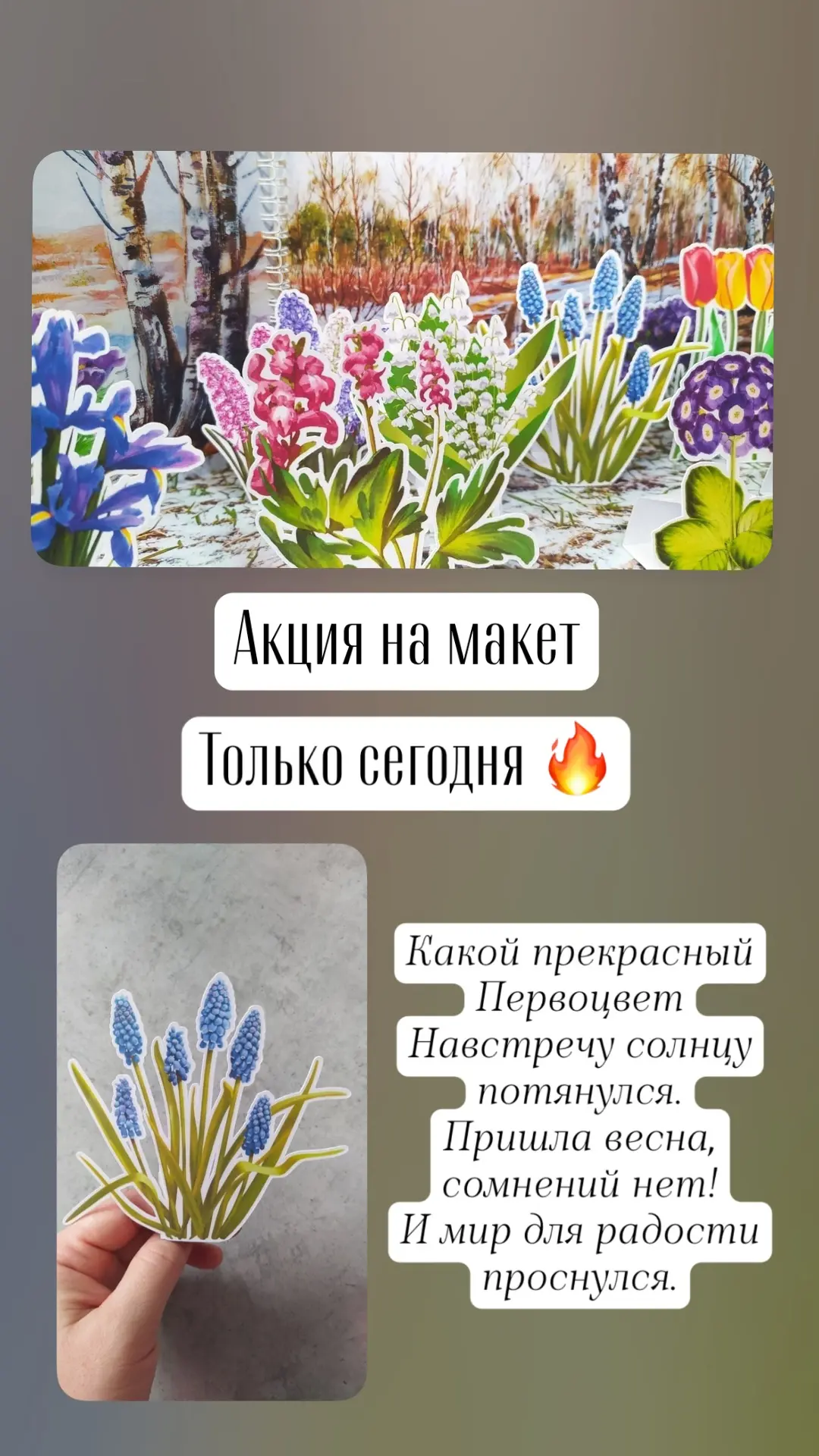 https://vk.ru/wall-144308059_26709