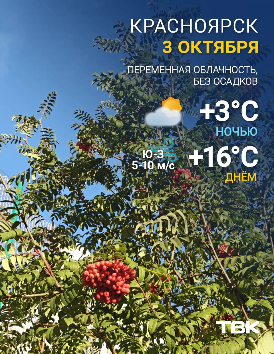 Погода на сегодня