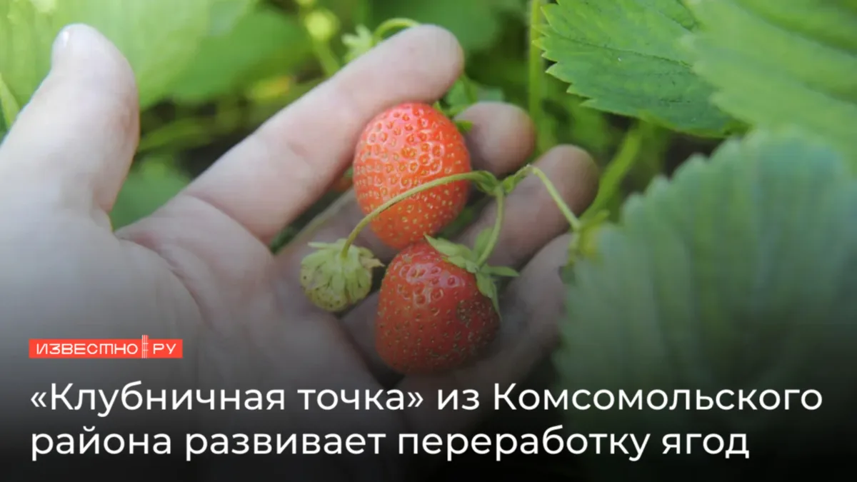 🍓В департаменте сельского хозяйства и продовольствия Ивановской области подвели итоги ...