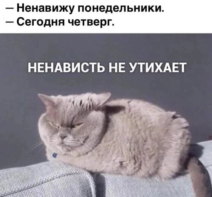 Какой знак зодиака ❔❓

*фото канала Новости Краснодарского края