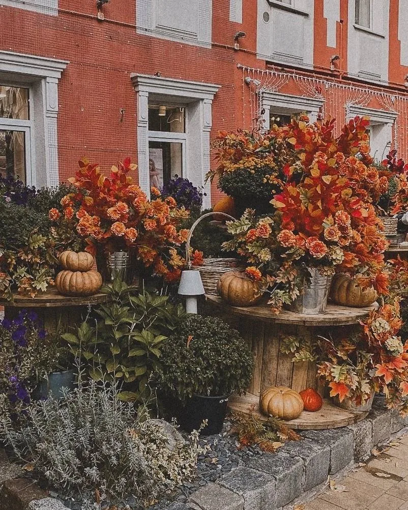 Зеленоградск к осени готов🍂