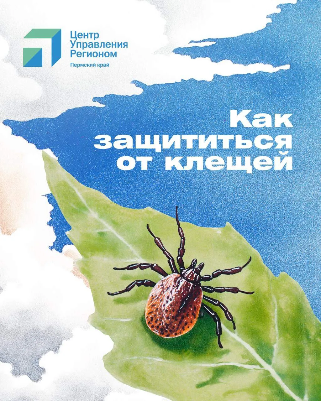 Как защититься от клещей