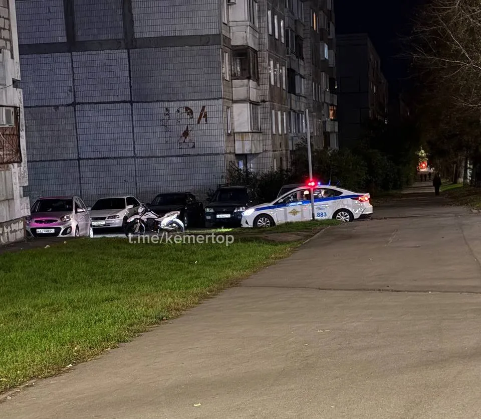 Медведя не поймали, но поймали питбайкера-нарушителя — вот такие новости с бульвара Стр...