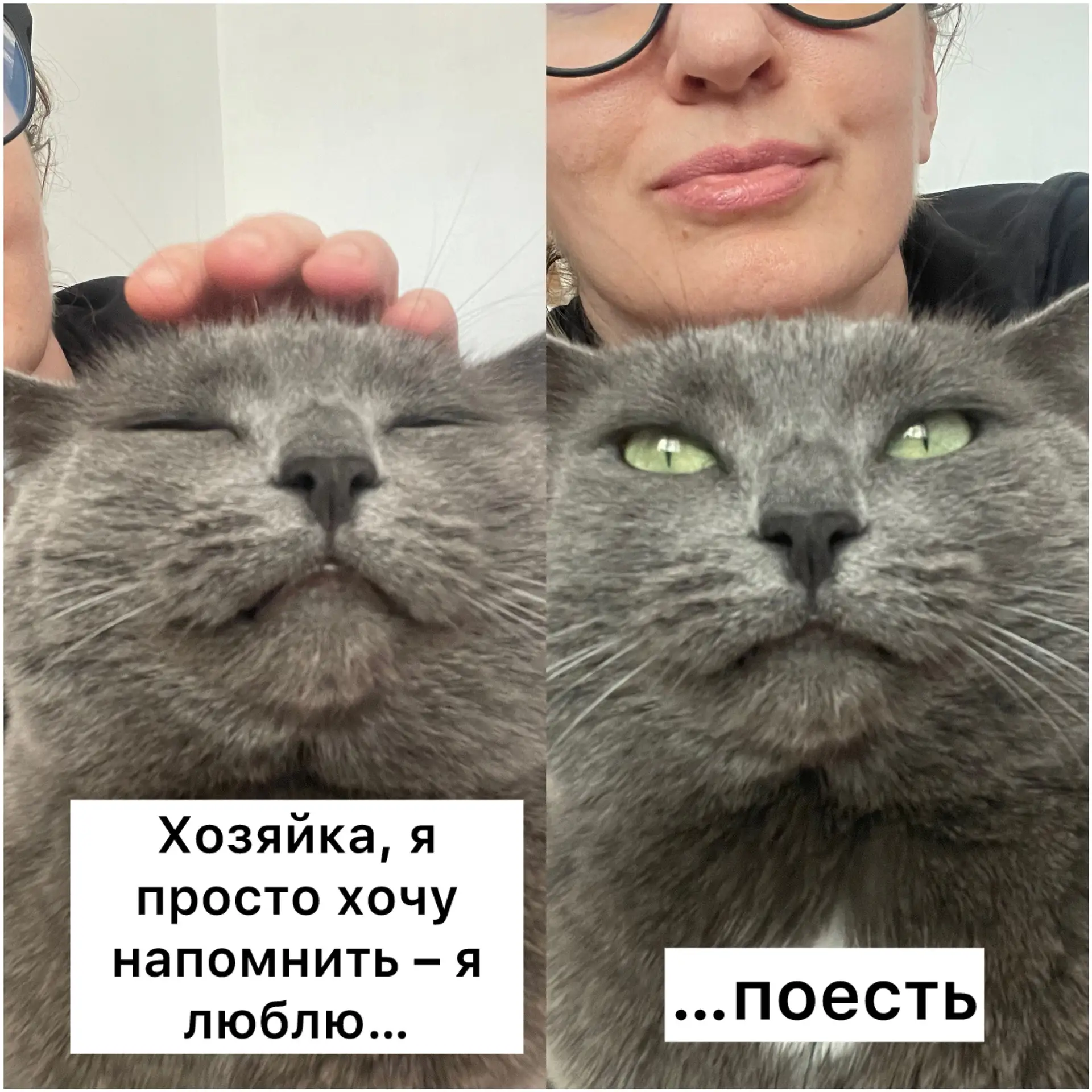 А то вдруг забыла 😼