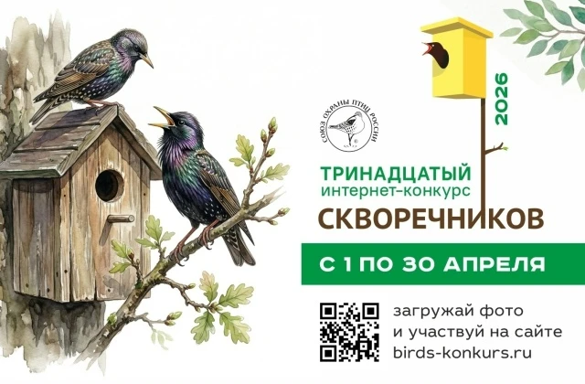 Интернет-конкурс скворечников 🦅

Общероссийская общественная организация «Союз охраны птиц России» 