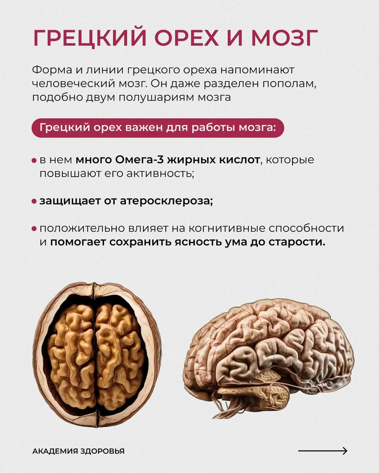 ЭТИ ПРОДУКТЫ ТОЧНО ДОЛЖНЫ БЫТЬ В ВАШЕМ РАЦИОНЕ  Все потому что они имеют особый эффект на наши орган
