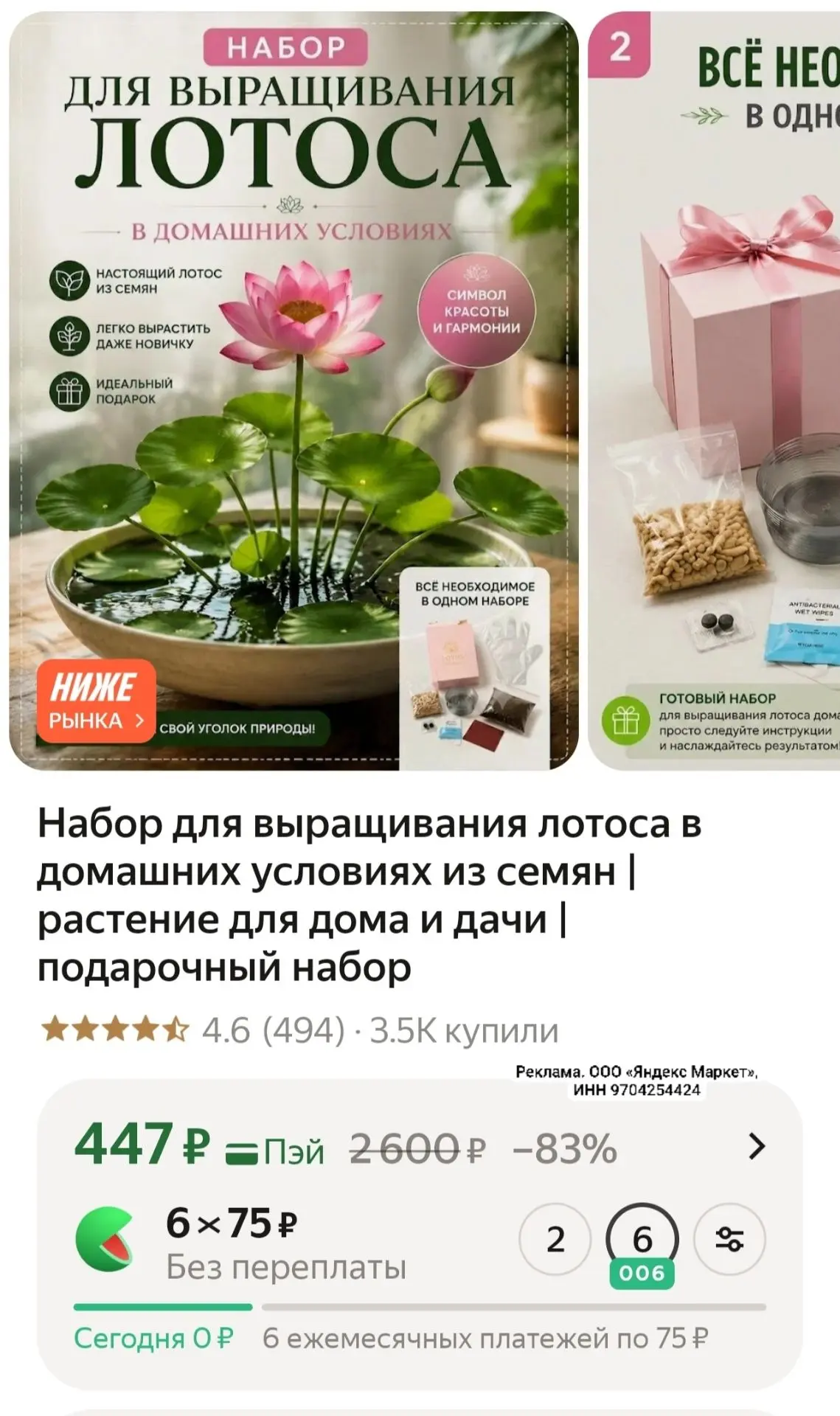 Набор для выращивания лотоса в домашних условиях из семян | растение для дома и дачи | ...