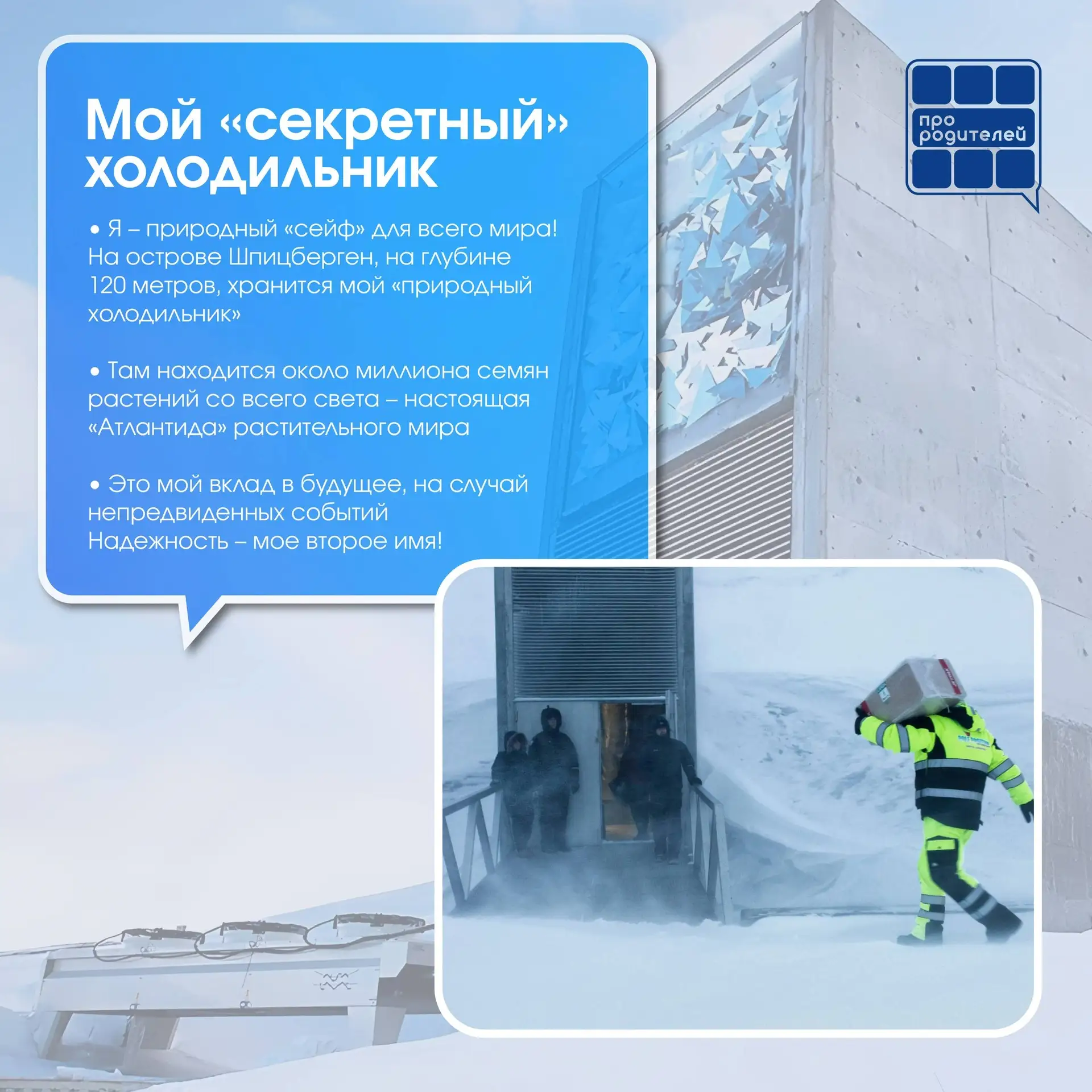 🧊Бескрайнее царство льда  28 февраля — день Арктики, день, посвященный одному из самых удивительных 